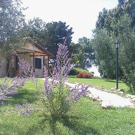Villa Casale Dinelli Tarquinia Zimmer foto