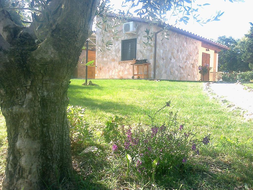Villa Casale Dinelli Tarquinia Zimmer foto