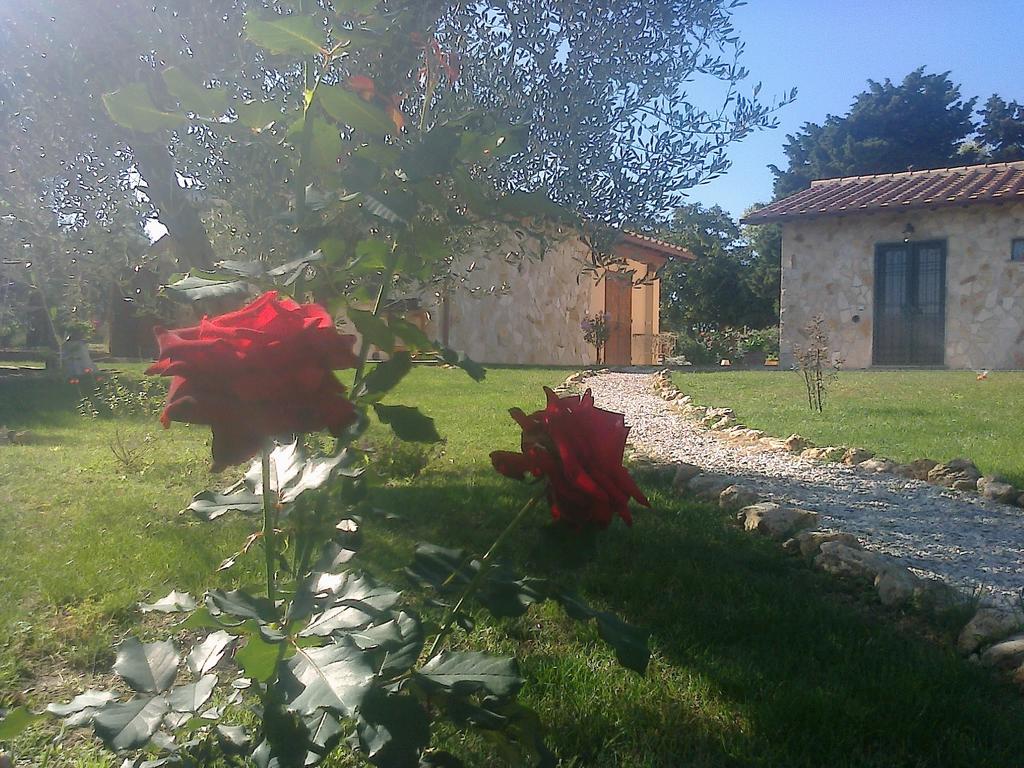 Villa Casale Dinelli Tarquinia Zimmer foto
