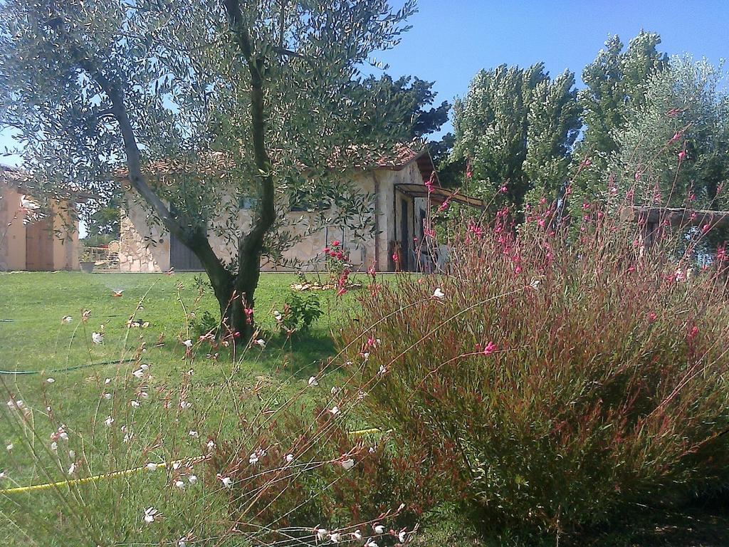 Villa Casale Dinelli Tarquinia Zimmer foto